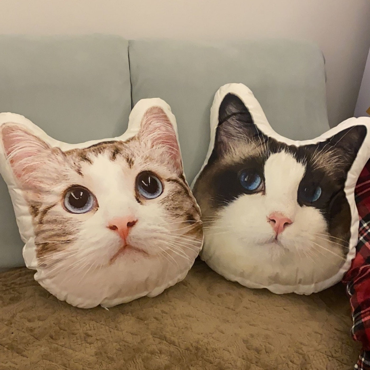 Throw Pillow