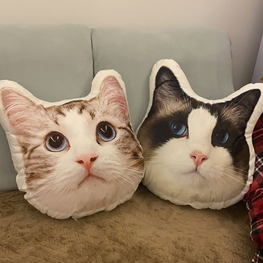 Throw Pillow