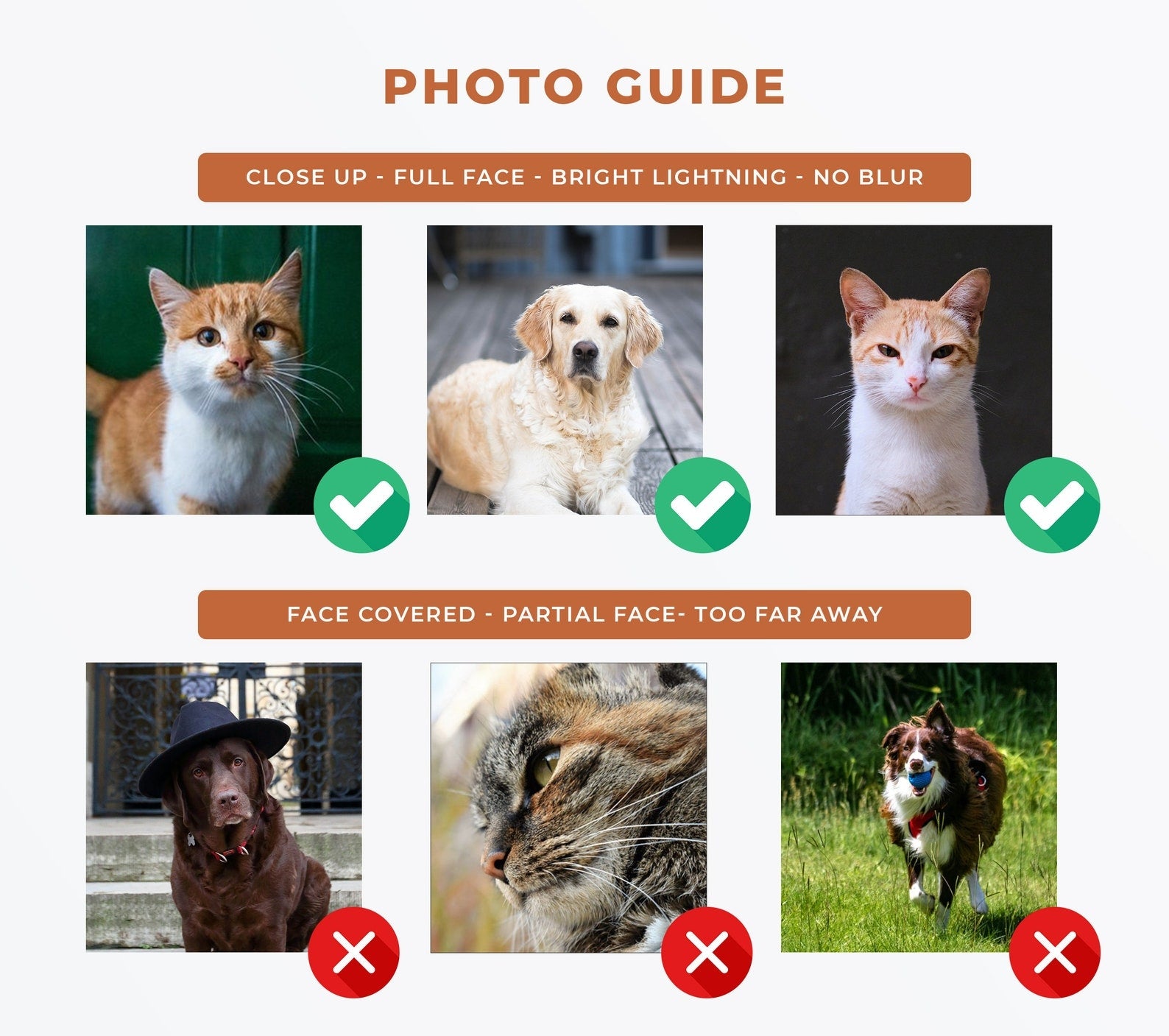 Photo Guide