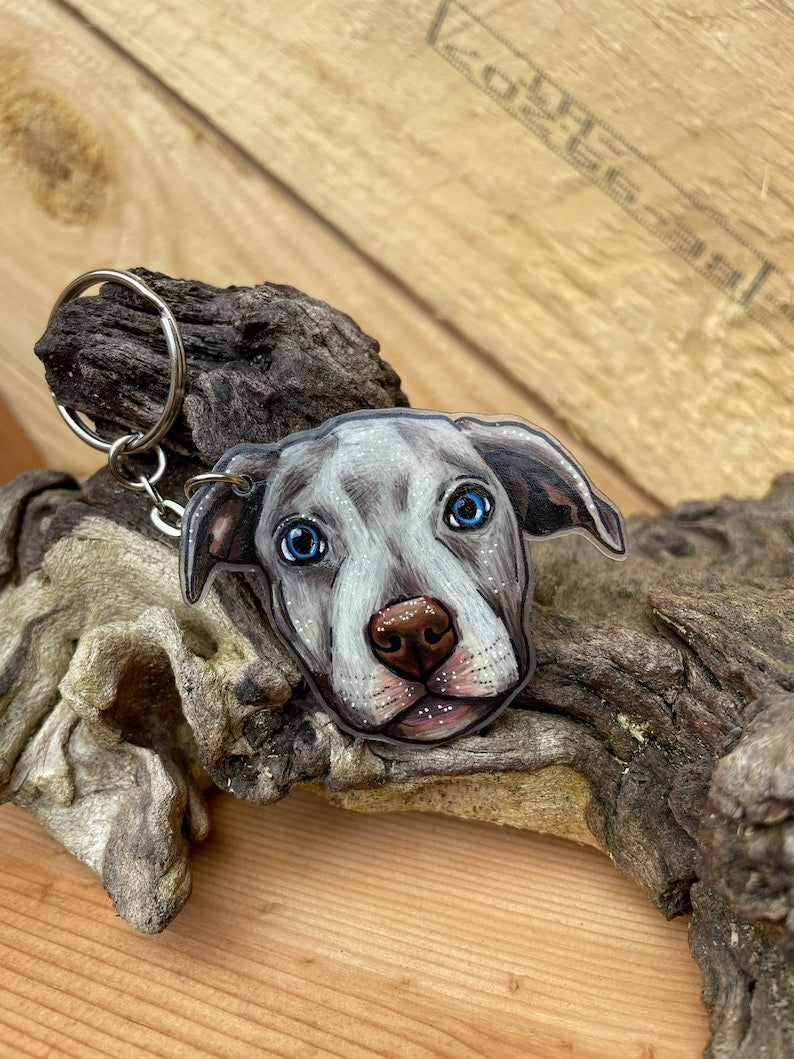 Engraved Pet Keychain