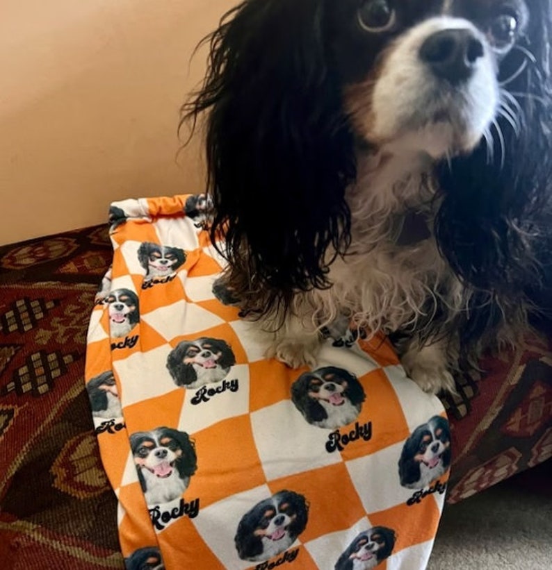 Custom Pet Pajama Pants