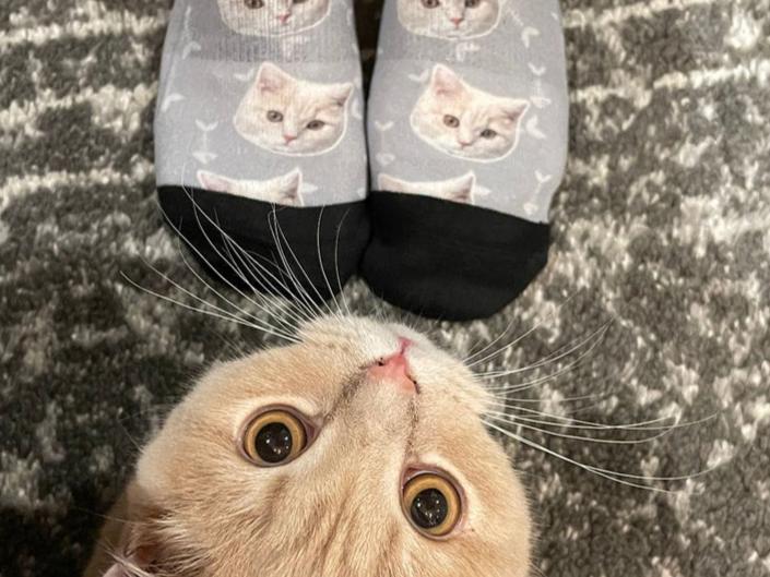 Socks