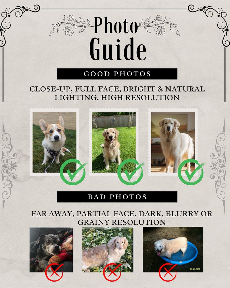 Royal Pet Portrait from Photo - 66 ORIGINAL DESIGNS PART 1