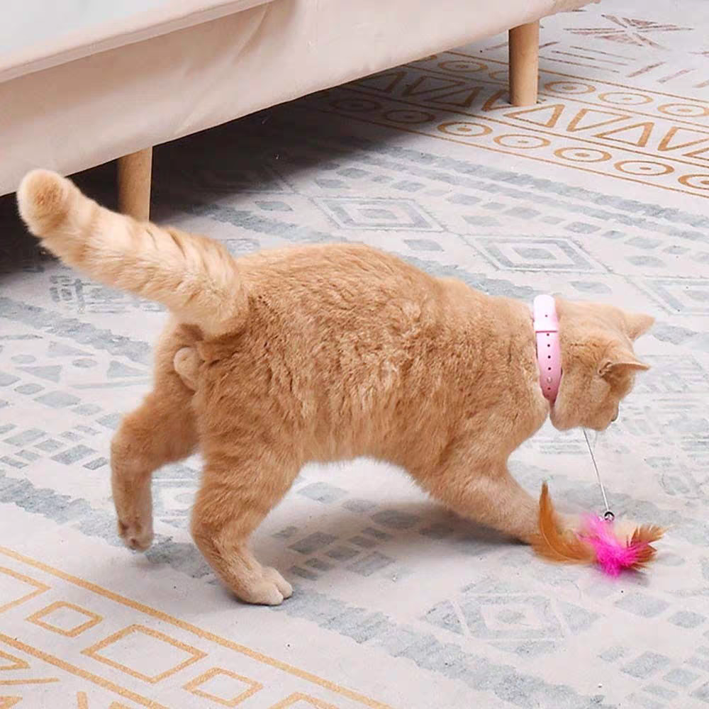 Cat Toys Feather Collar Self-healing Fun